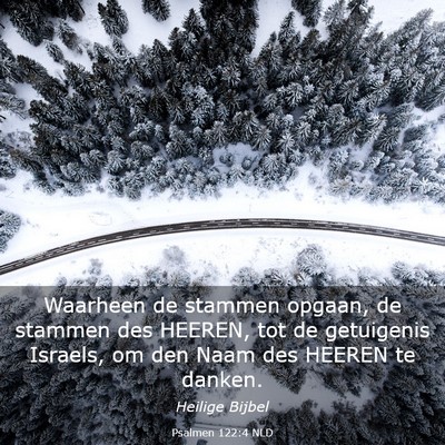 Picture 03 - Psalmen 122:4 NLD - Waarheen de stammen opgaan, de stammen des - Bible Verse Picture