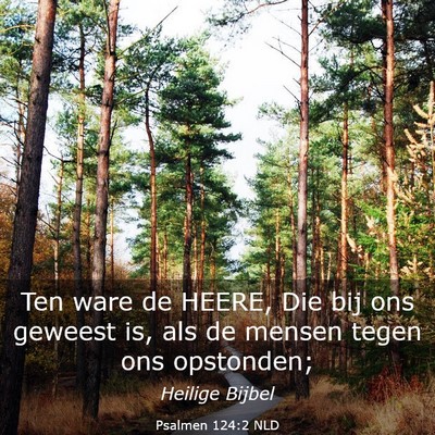 Picture 03 - Psalmen 124:2 NLD - Ten ware de HEERE, Die bij ons geweest is, als de - Bible Verse Picture