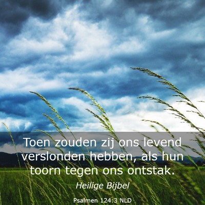 Picture 03 - Psalmen 124:3 NLD - Toen zouden zij ons levend verslonden hebben, als - Bible Verse Picture
