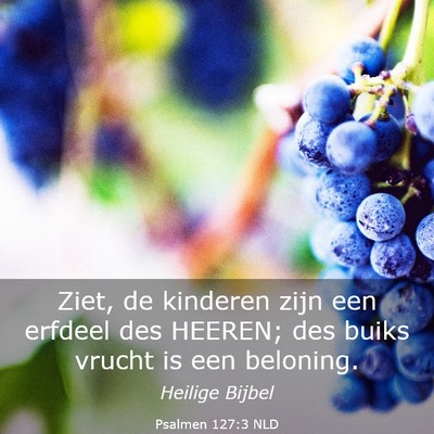 Picture 03 - Psalmen 127:3 NLD - Ziet, de kinderen zijn een erfdeel des HEEREN; - Bible Verse Picture