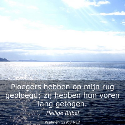 Picture 03 - Psalmen 129:3 NLD - Ploegers hebben op mijn rug geploegd; zij hebben - Bible Verse Picture