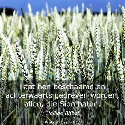 Picture 03 - Psalmen 129:5 NLD - Laat hen beschaamd en achterwaarts gedreven - Bible Verse Picture