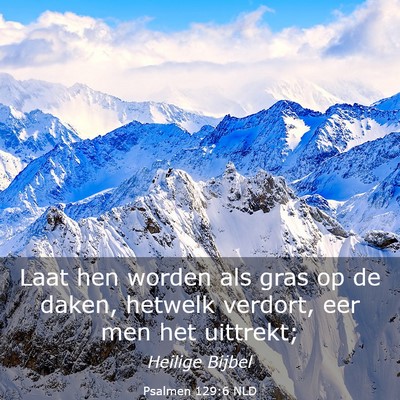Picture 03 - Psalmen 129:6 NLD - Laat hen worden als gras op de daken, hetwelk - Bible Verse Picture