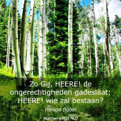 Picture 03 - Psalmen 130:3 NLD - Zo Gij, HEERE! de ongerechtigheden gadeslaat; - Bible Verse Picture