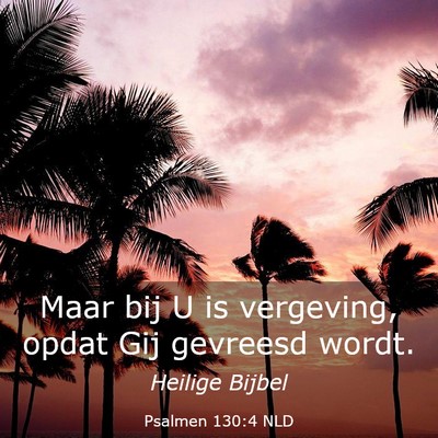Picture 03 - Psalmen 130:4 NLD - Maar bij U is vergeving, opdat Gij gevreesd - Bible Verse Picture