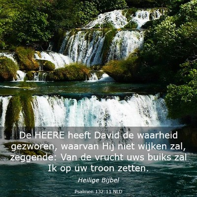 Picture 03 - Psalmen 132:11 NLD - De HEERE heeft David de waarheid gezworen, - Bible Verse Picture