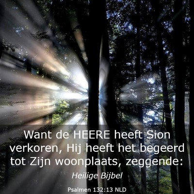 Picture 03 - Psalmen 132:13 NLD - Want de HEERE heeft Sion verkoren, Hij heeft het - Bible Verse Picture