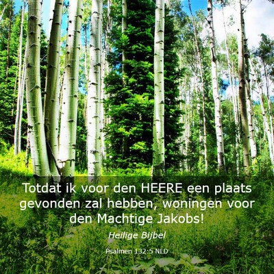 Picture 03 - Psalmen 132:5 NLD - Totdat ik voor den HEERE een plaats gevonden zal - Bible Verse Picture