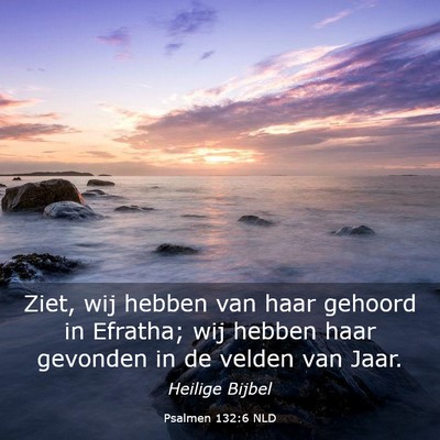 Picture 03 - Psalmen 132:6 NLD - Ziet, wij hebben van haar gehoord in Efratha; wij - Bible Verse Picture