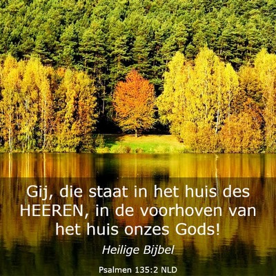 Picture 03 - Psalmen 135:2 NLD - Gij, die staat in het huis des HEEREN, in de - Bible Verse Picture