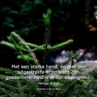 Picture 03 - Psalmen 136:12 NLD - Met een sterke hand, en met een uitgestrekte arm; - Bible Verse Picture