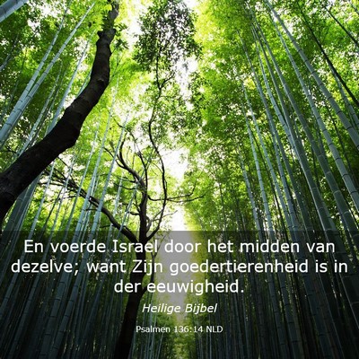 Picture 03 - Psalmen 136:14 NLD - En voerde Israel door het midden van dezelve; - Bible Verse Picture