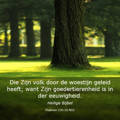 Picture 03 - Psalmen 136:16 NLD - Die Zijn volk door de woestijn geleid heeft; want - Bible Verse Picture
