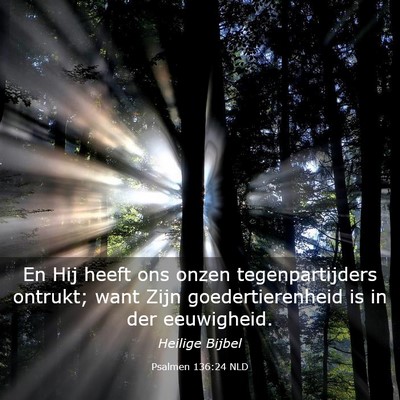 Picture 03 - Psalmen 136:24 NLD - En Hij heeft ons onzen tegenpartijders ontrukt; - Bible Verse Picture