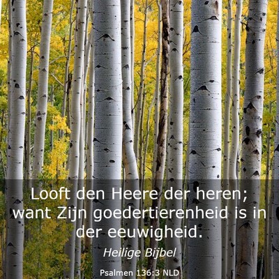 Picture 03 - Psalmen 136:3 NLD - Looft den Heere der heren; want Zijn - Bible Verse Picture