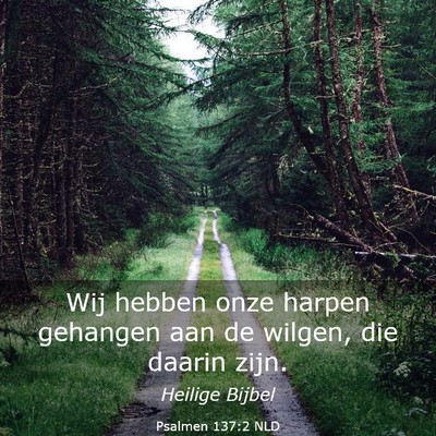 Picture 03 - Psalmen 137:2 NLD - Wij hebben onze harpen gehangen aan de wilgen, - Bible Verse Picture