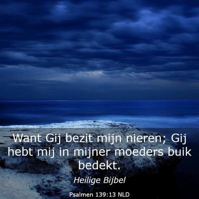 Picture 03 - Psalmen 139:13 NLD - Want Gij bezit mijn nieren; Gij hebt mij in - Bible Verse Picture