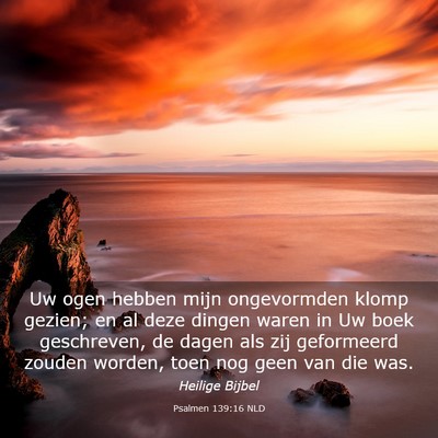 Picture 03 - Psalmen 139:16 NLD - Uw ogen hebben mijn ongevormden klomp gezien; en - Bible Verse Picture
