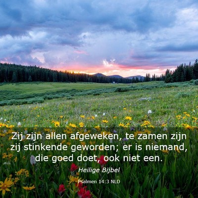 Picture 03 - Psalmen 14:3 NLD - Zij zijn allen afgeweken, te zamen zijn zij - Bible Verse Picture