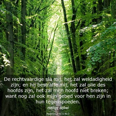 Picture 03 - Psalmen 141:5 NLD - De rechtvaardige sla mij, het zal weldadigheid - Bible Verse Picture