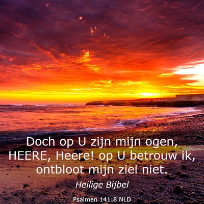 Picture 03 - Psalmen 141:8 NLD - Doch op U zijn mijn ogen, HEERE, Heere! op U - Bible Verse Picture
