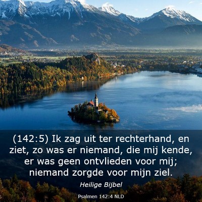 Picture 03 - Psalmen 142:4 NLD - (142:5) Ik zag uit ter rechterhand, en ziet, zo - Bible Verse Picture