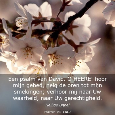 Picture 03 - Psalmen 143:1 NLD - Een psalm van David. O HEERE! hoor mijn gebed, - Bible Verse Picture