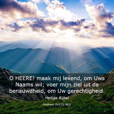 Picture 03 - Psalmen 143:11 NLD - O HEERE! maak mij levend, om Uws Naams wil; voer - Bible Verse Picture