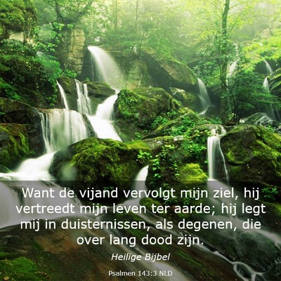 Picture 03 - Psalmen 143:3 NLD - Want de vijand vervolgt mijn ziel, hij vertreedt - Bible Verse Picture