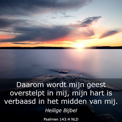 Picture 03 - Psalmen 143:4 NLD - Daarom wordt mijn geest overstelpt in mij, mijn - Bible Verse Picture