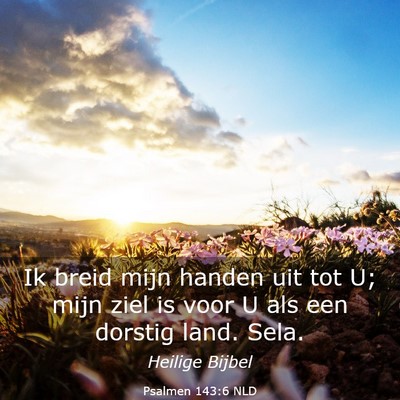 Picture 03 - Psalmen 143:6 NLD - Ik breid mijn handen uit tot U; mijn ziel is voor - Bible Verse Picture