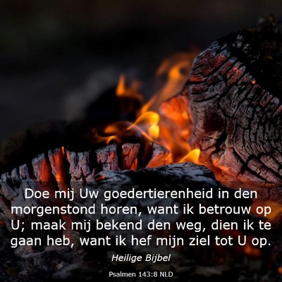 Picture 03 - Psalmen 143:8 NLD - Doe mij Uw goedertierenheid in den morgenstond - Bible Verse Picture