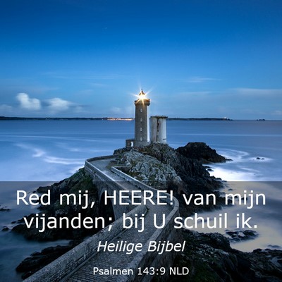 Picture 03 - Psalmen 143:9 NLD - Red mij, HEERE! van mijn vijanden; bij U schuil - Bible Verse Picture