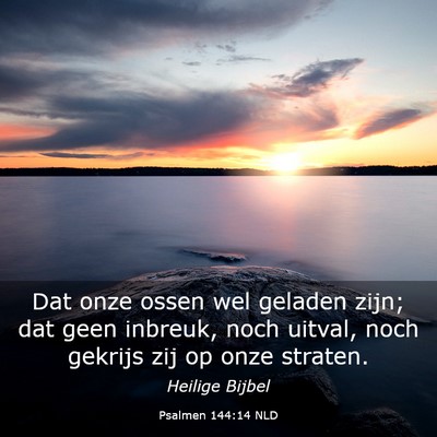 Picture 03 - Psalmen 144:14 NLD - Dat onze ossen wel geladen zijn; dat geen - Bible Verse Picture
