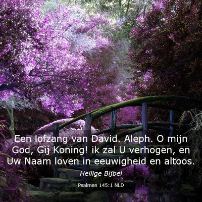 Picture 03 - Psalmen 145:1 NLD - Een lofzang van David. Aleph. O mijn God, Gij - Bible Verse Picture