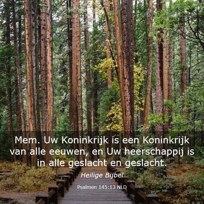 Picture 03 - Psalmen 145:13 NLD - Mem. Uw Koninkrijk is een Koninkrijk van alle - Bible Verse Picture