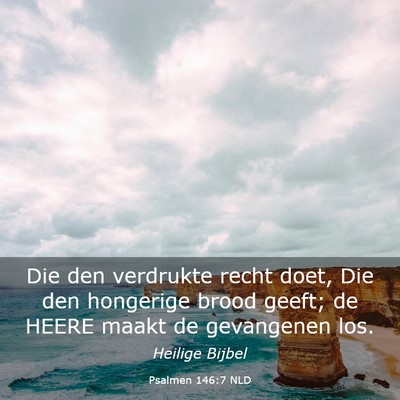Picture 03 - Psalmen 146:7 NLD - Die den verdrukte recht doet, Die den hongerige - Bible Verse Picture