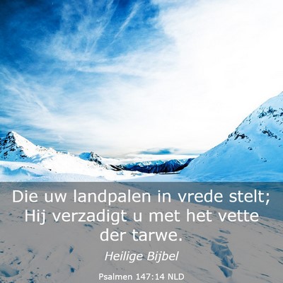 Picture 03 - Psalmen 147:14 NLD - Die uw landpalen in vrede stelt; Hij verzadigt u - Bible Verse Picture