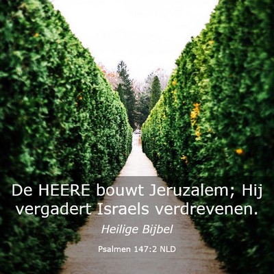 Picture 03 - Psalmen 147:2 NLD - De HEERE bouwt Jeruzalem; Hij vergadert Israels - Bible Verse Picture