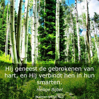 Picture 03 - Psalmen 147:3 NLD - Hij geneest de gebrokenen van hart, en Hij - Bible Verse Picture
