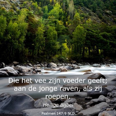 Picture 03 - Psalmen 147:9 NLD - Die het vee zijn voeder geeft; aan de jonge - Bible Verse Picture