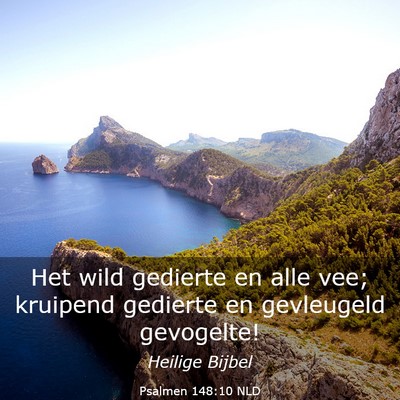Picture 03 - Psalmen 148:10 NLD - Het wild gedierte en alle vee; kruipend gedierte - Bible Verse Picture