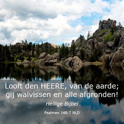 Picture 03 - Psalmen 148:7 NLD - Looft den HEERE, van de aarde; gij walvissen en - Bible Verse Picture