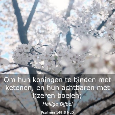 Picture 03 - Psalmen 149:8 NLD - Om hun koningen te binden met ketenen, en hun - Bible Verse Picture