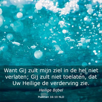 Picture 03 - Psalmen 16:10 NLD - Want Gij zult mijn ziel in de hel niet verlaten; - Bible Verse Picture