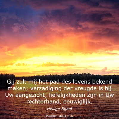 Picture 03 - Psalmen 16:11 NLD - Gij zult mij het pad des levens bekend maken; - Bible Verse Picture