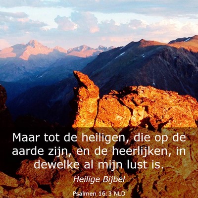 Picture 03 - Psalmen 16:3 NLD - Maar tot de heiligen, die op de aarde zijn, en de - Bible Verse Picture