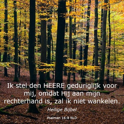 Picture 03 - Psalmen 16:8 NLD - Ik stel den HEERE geduriglijk voor mij, omdat Hij - Bible Verse Picture