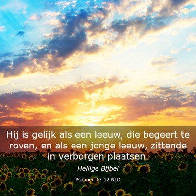 Picture 03 - Psalmen 17:12 NLD - Hij is gelijk als een leeuw, die begeert te - Bible Verse Picture