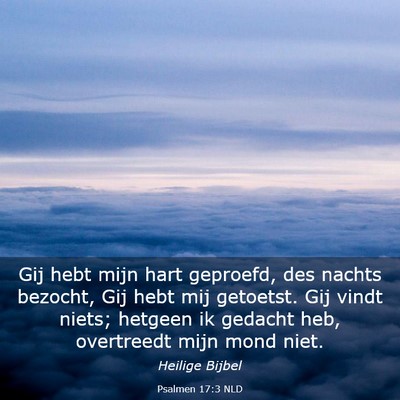 Picture 03 - Psalmen 17:3 NLD - Gij hebt mijn hart geproefd, des nachts bezocht, - Bible Verse Picture